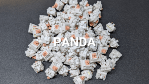 holy panda vs glorious panda holy panda vs glorious panda